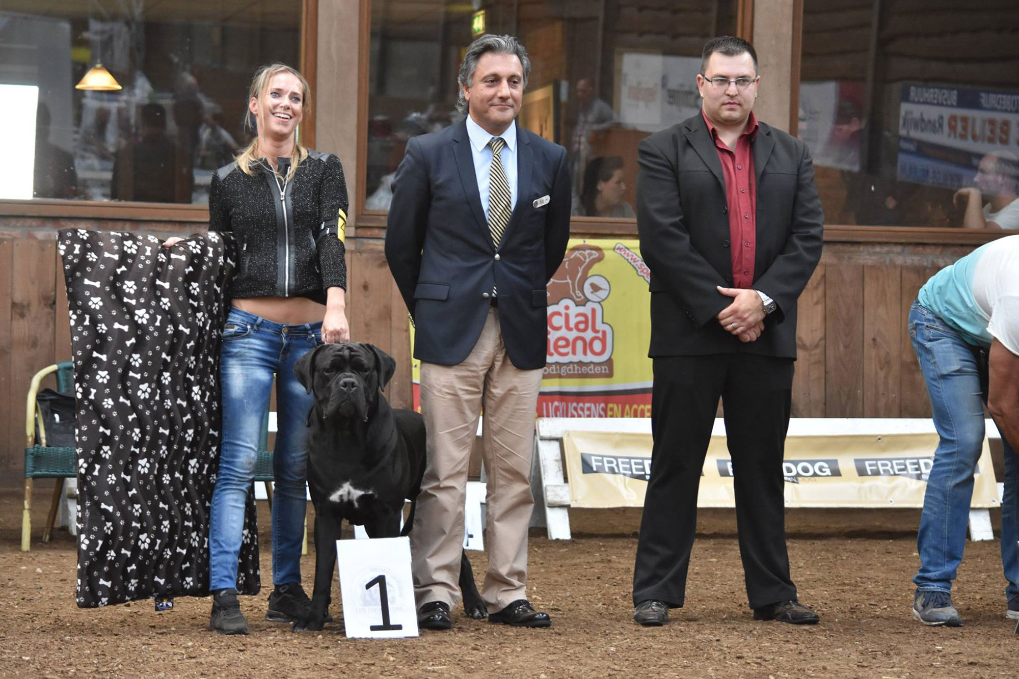 Judging Cane Corso Club Show in Netherland